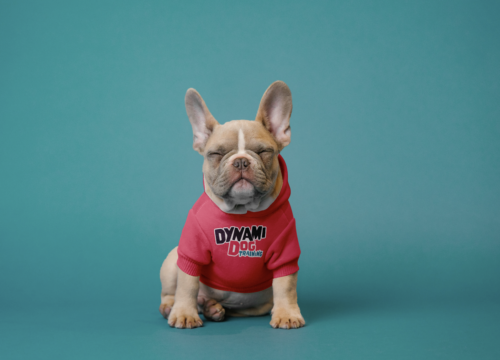 Captura de pantalla 2026-02-01 a la(s) 10.21.17 p.m..png