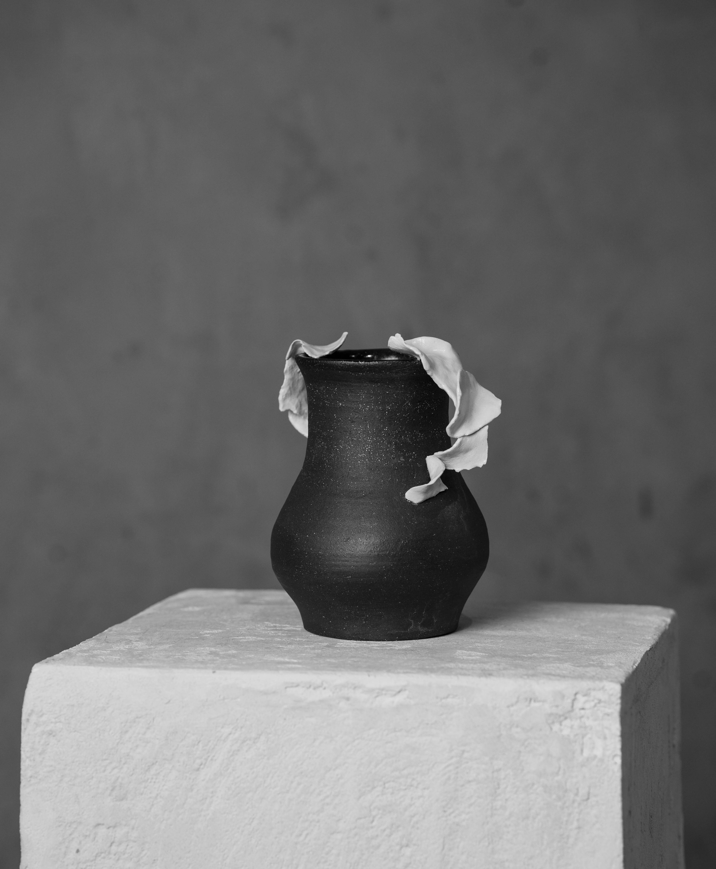 DSC01425-2.jpg