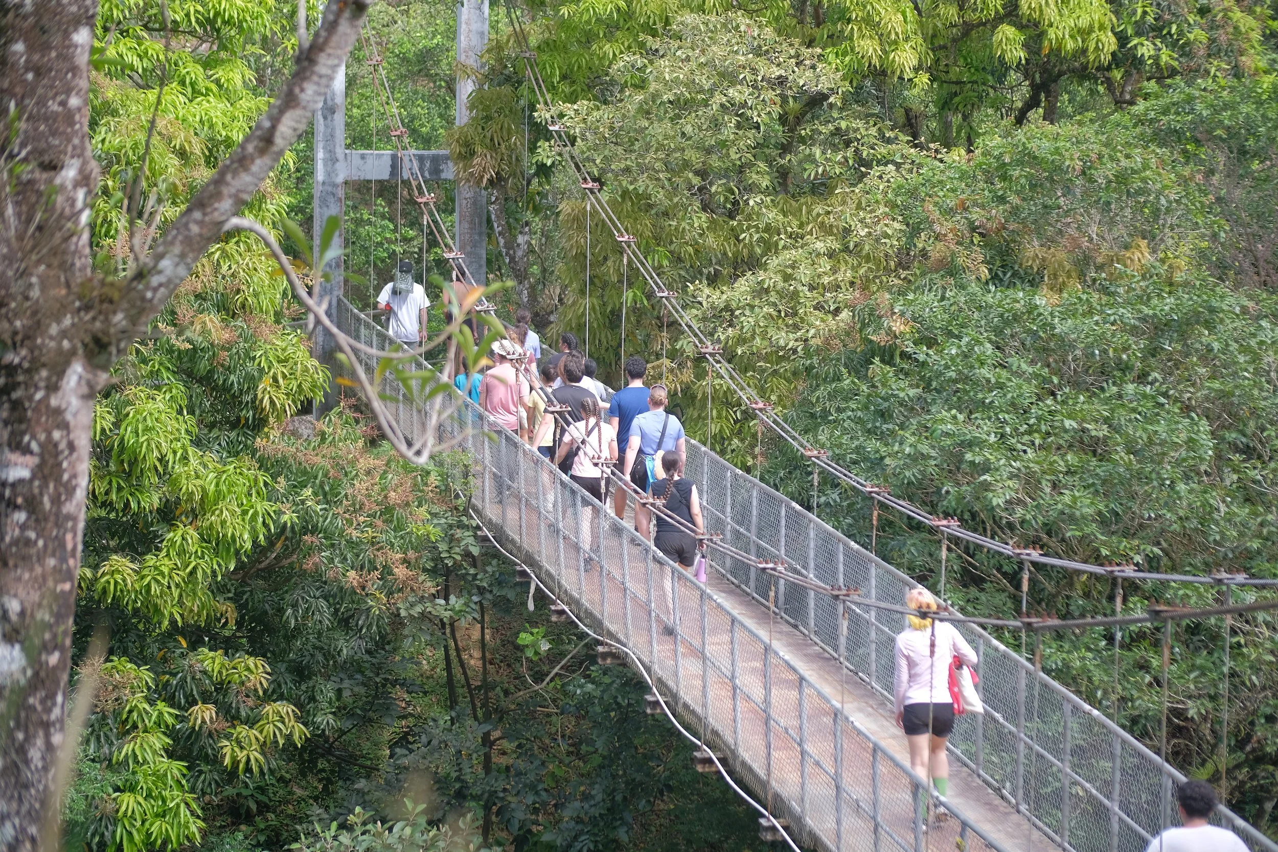 DSCF8798.JPG