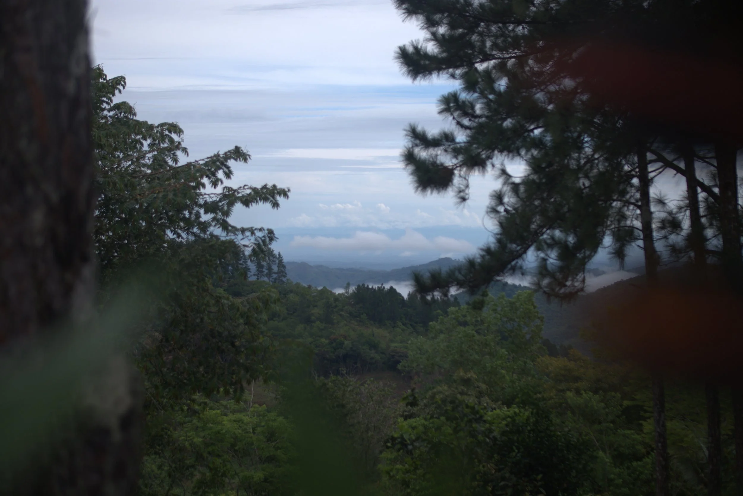 DSCF8724.jpg
