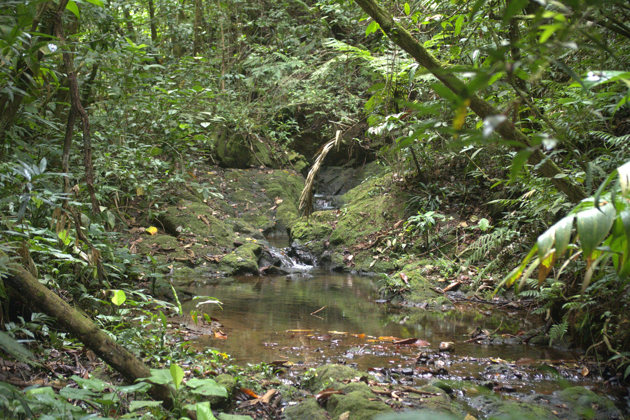 DSCF9282.jpg