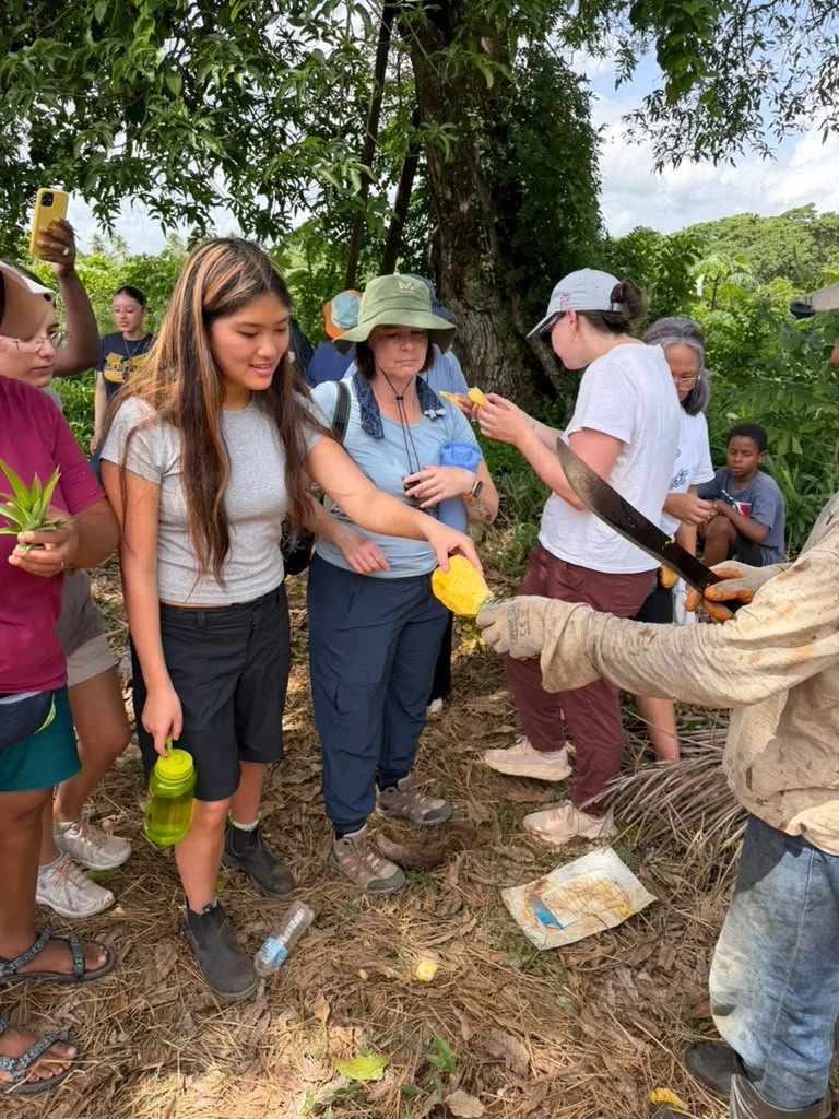 5533b4b0-2c1d-4e97-8775-903ec2449cd1.jpg