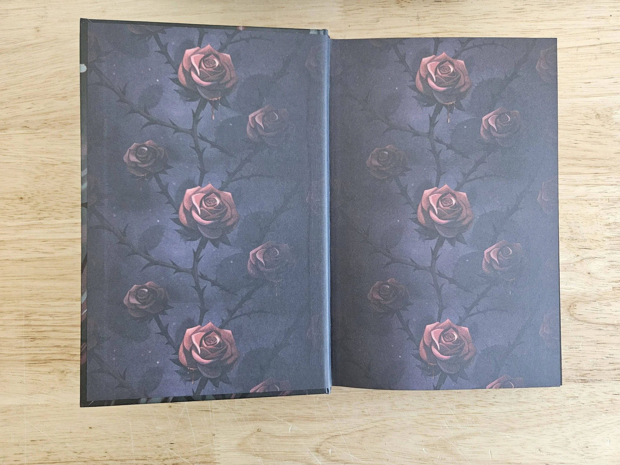 dark lands special edition 2.jpg