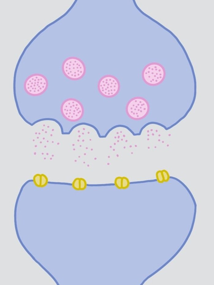 Chemical Synapse.jpg