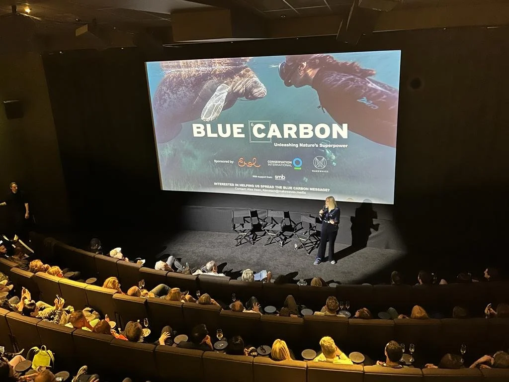 WhatsApp Image 2023-11-22 at 15.29.19.jpeg