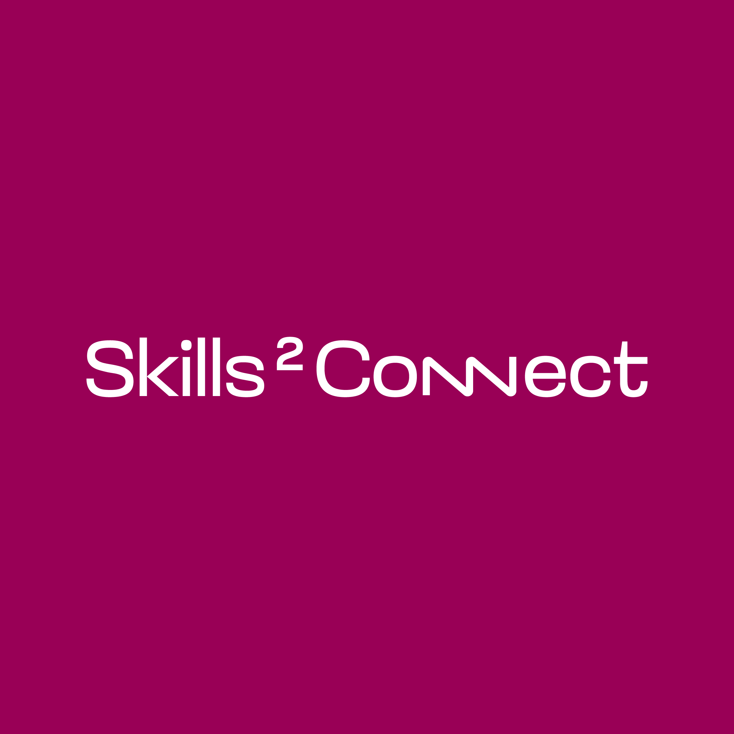 logo_skill2connect.png