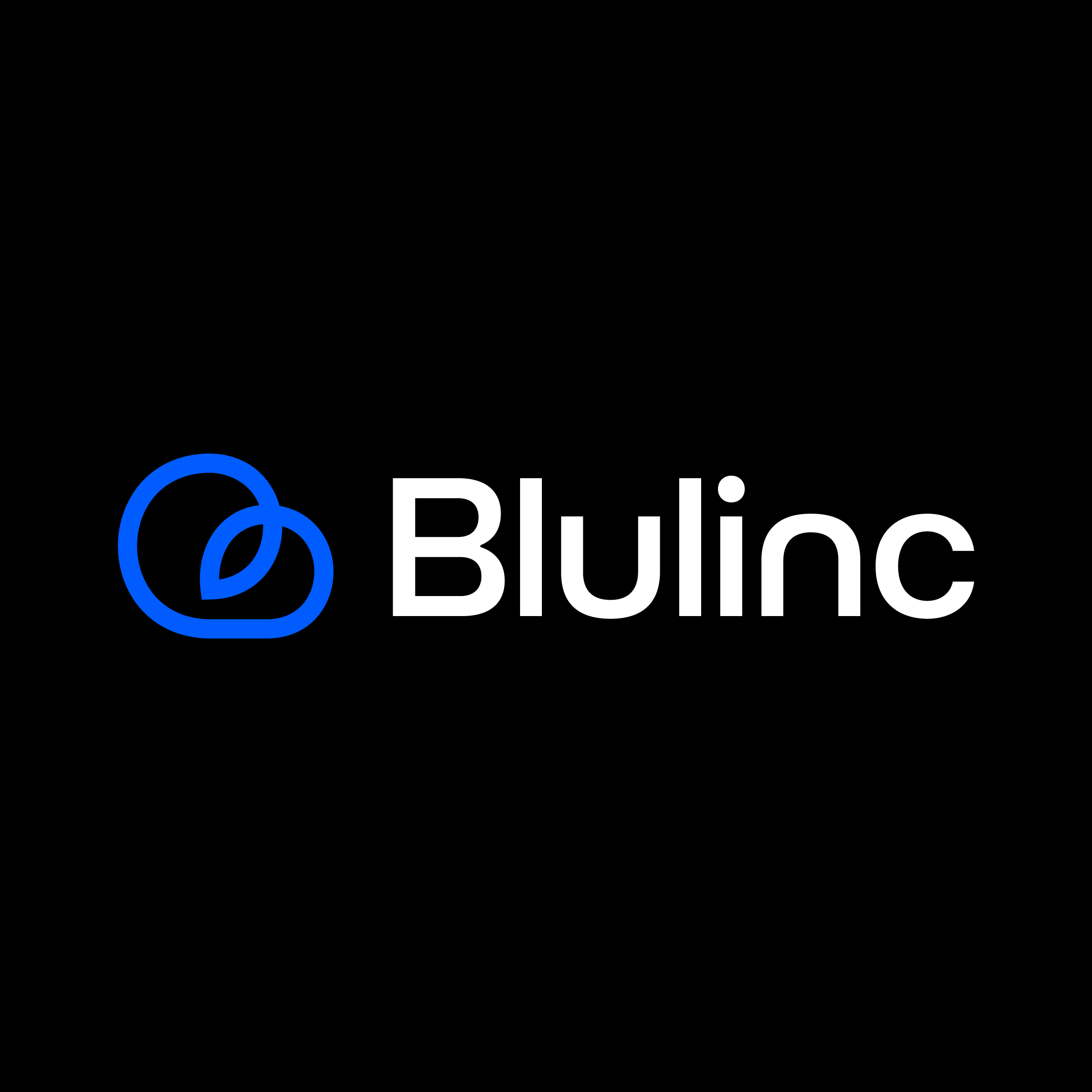 logo_blulinc.png