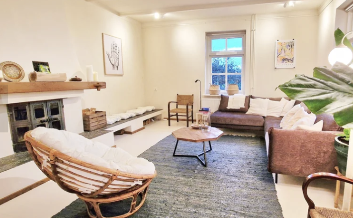 Cozy living room with a brown sofa, a rattan armchair, a black area rug, a wooden coffee table, and a large potted plant near a window.