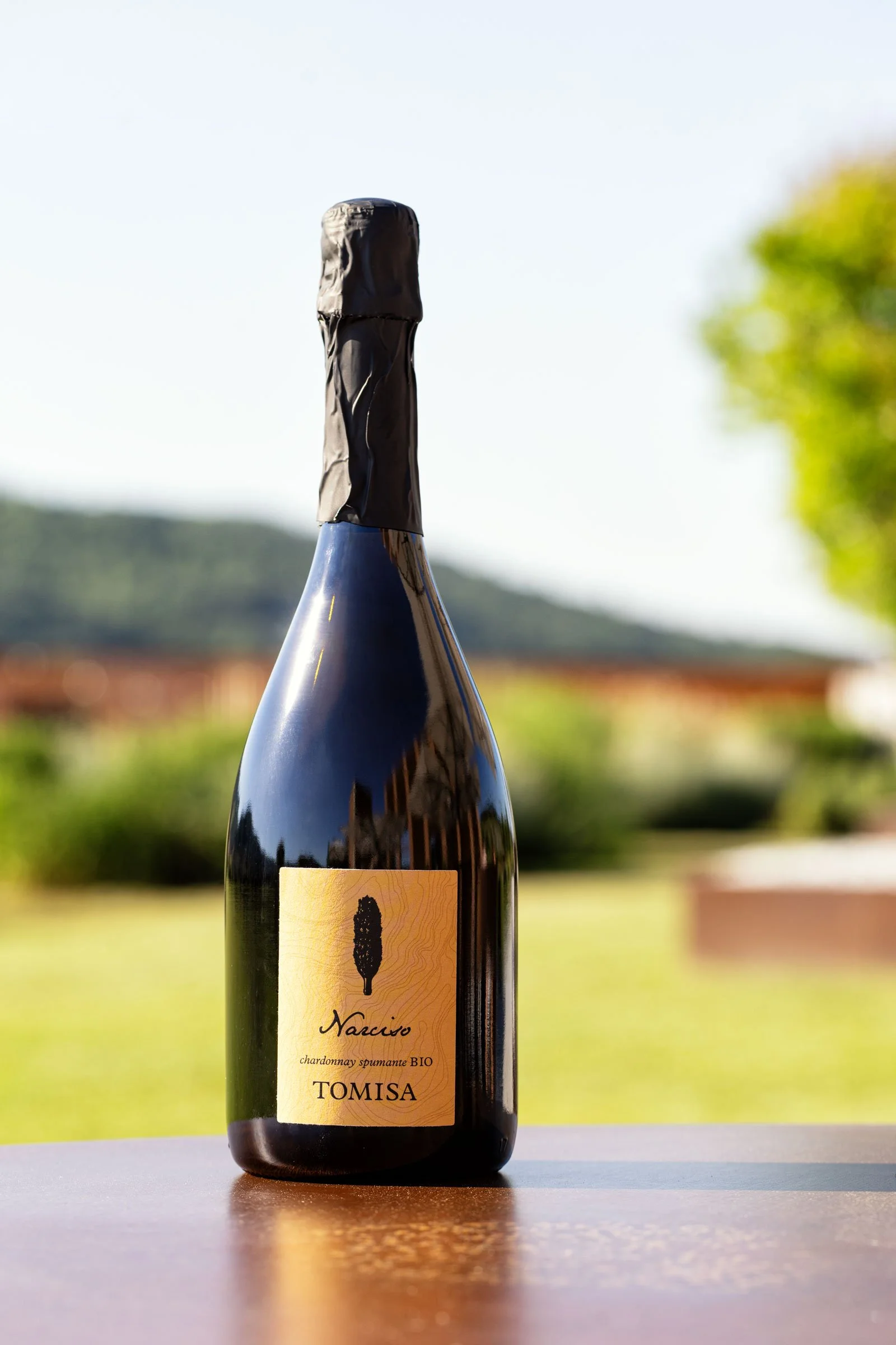 Fotografie professionali per cantine e produttori di vino a Bologna.