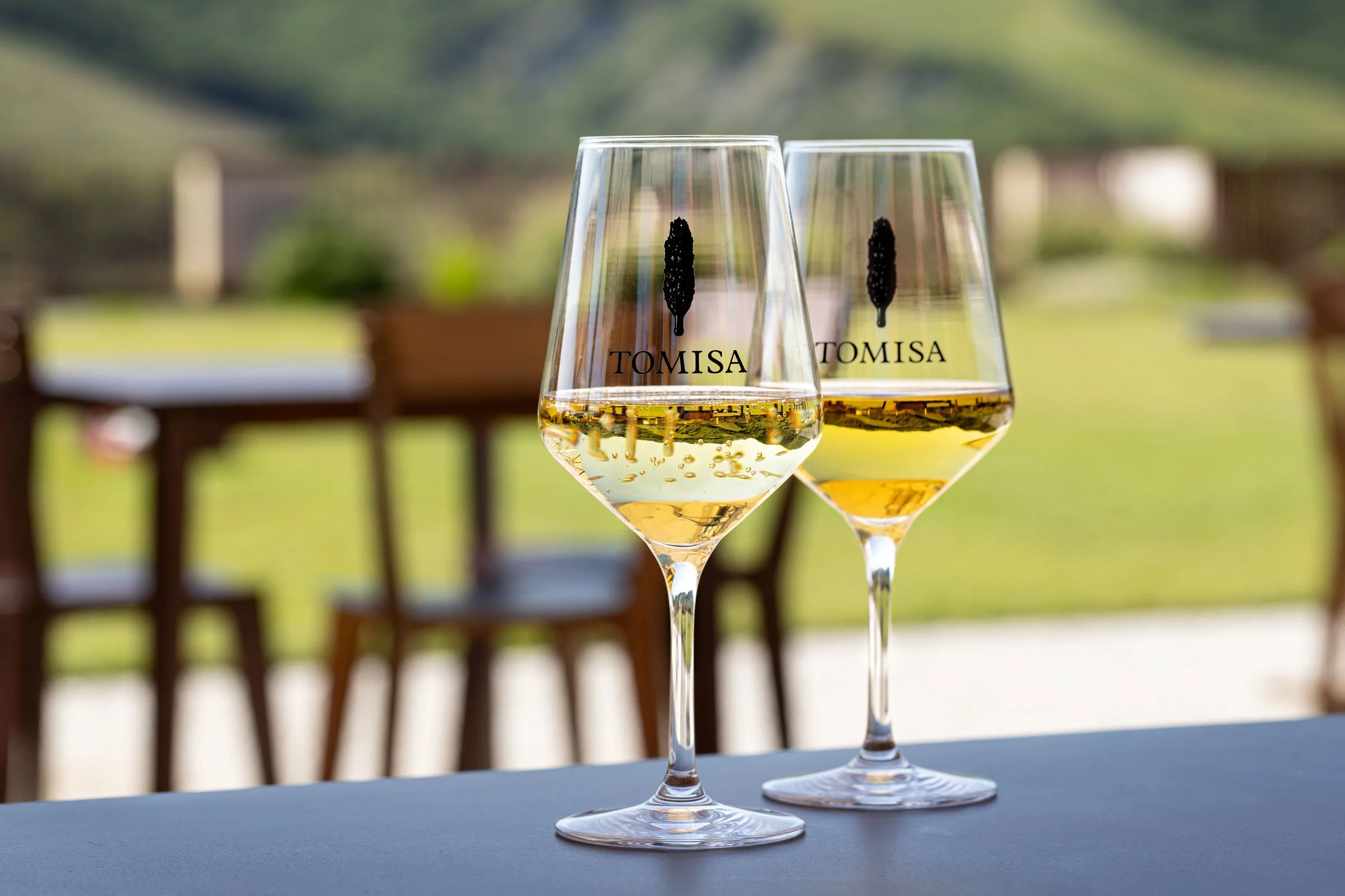 Servizi fotografici per aziende vinicole, agriturismi e produttori locali.