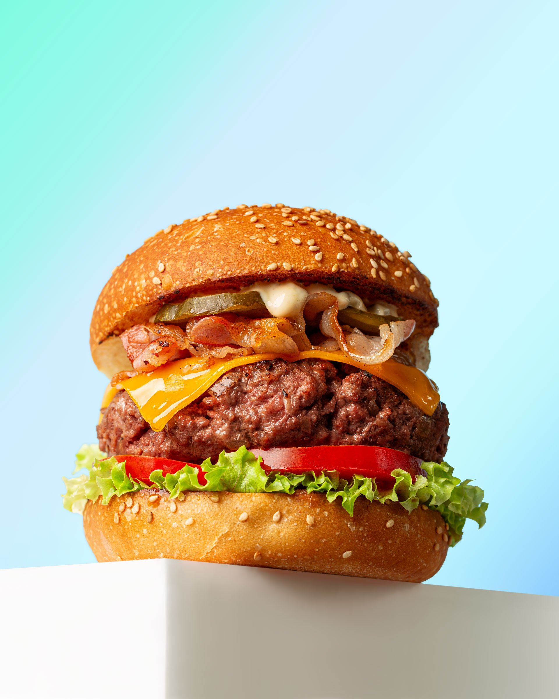 Food photography and food styling, hamburger gourmet. Emilia-Romagna, Italy.