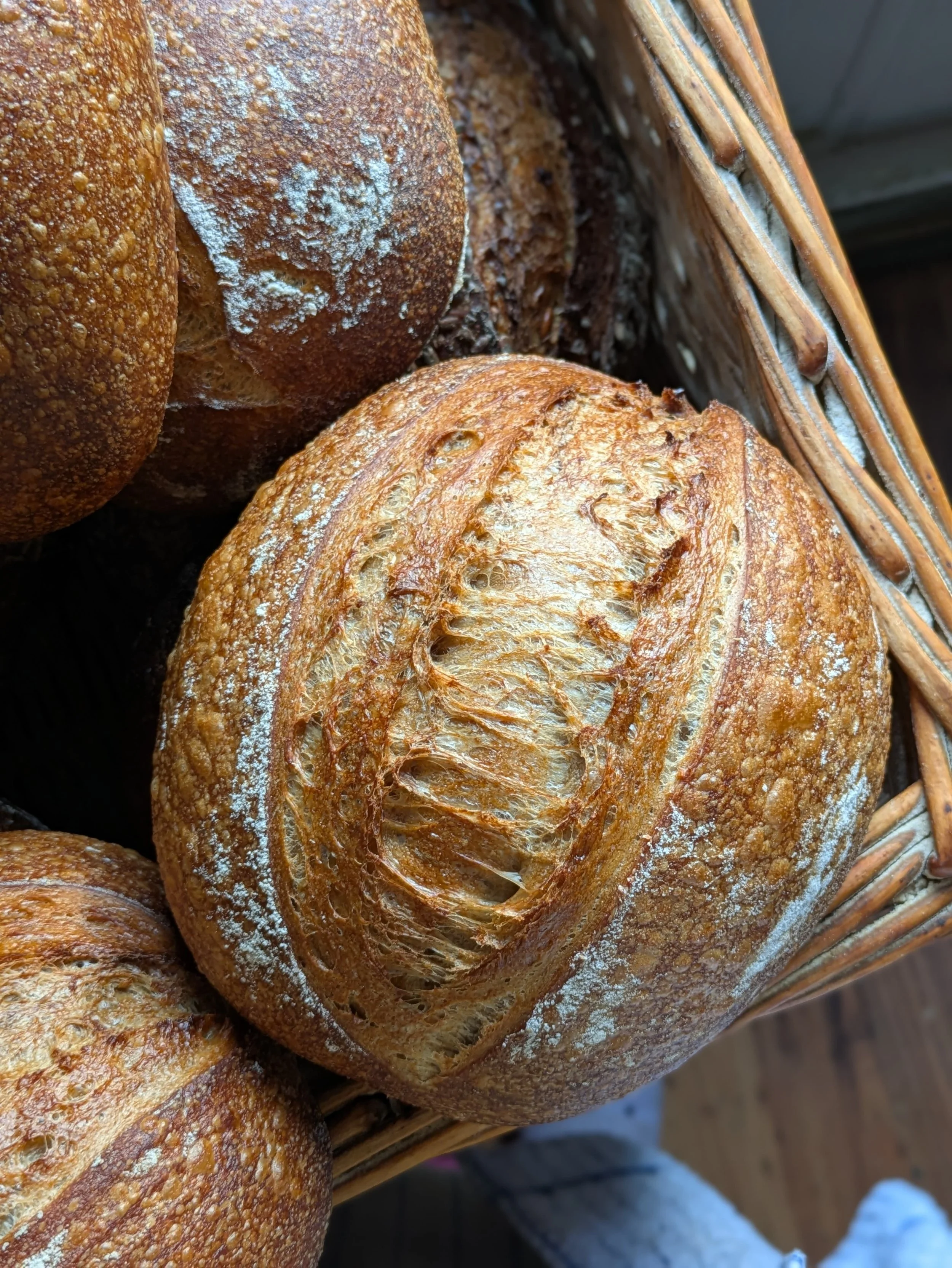 Plain Sourdough