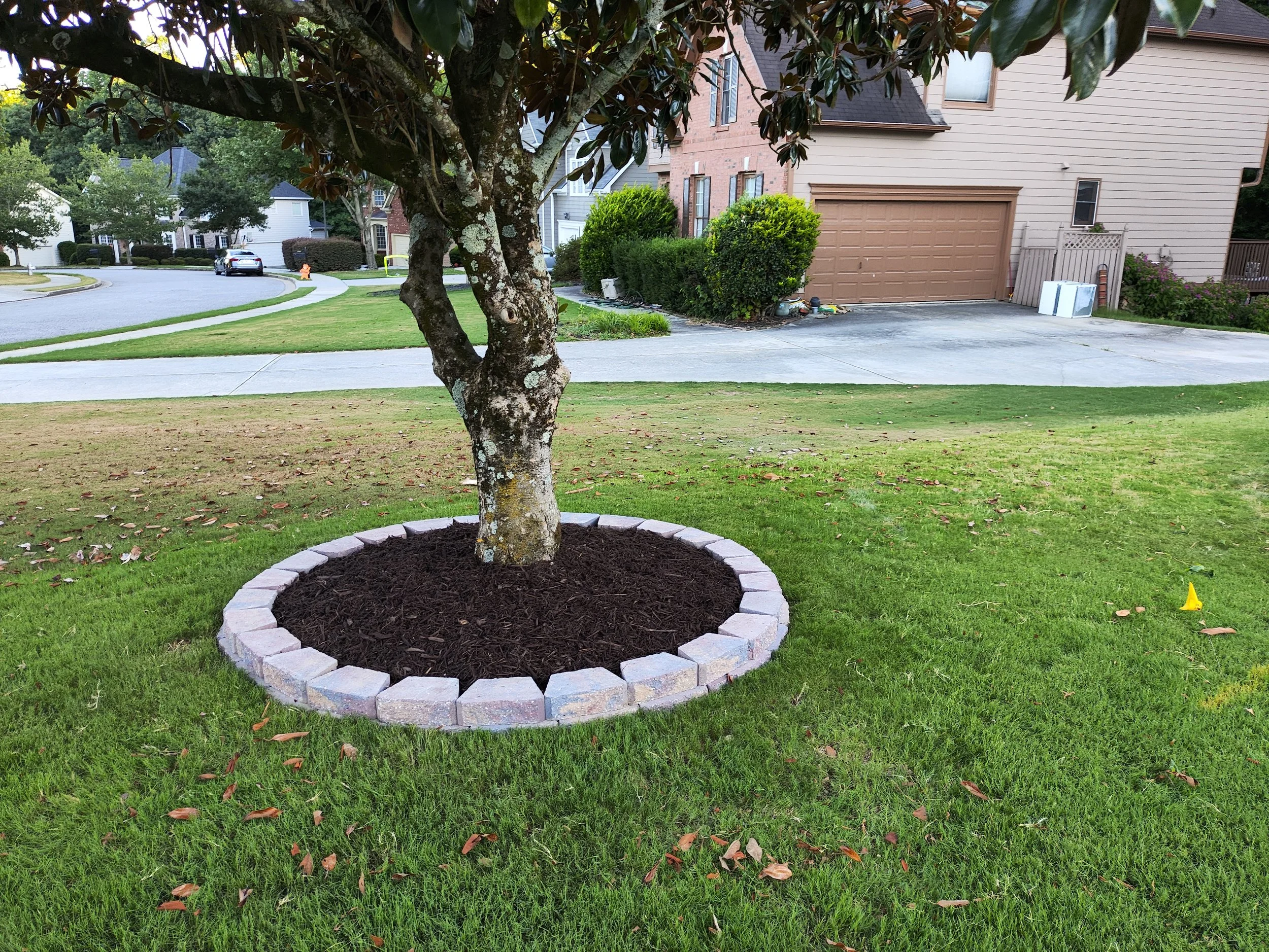 Copy of IMG_20240710_200150.jpg