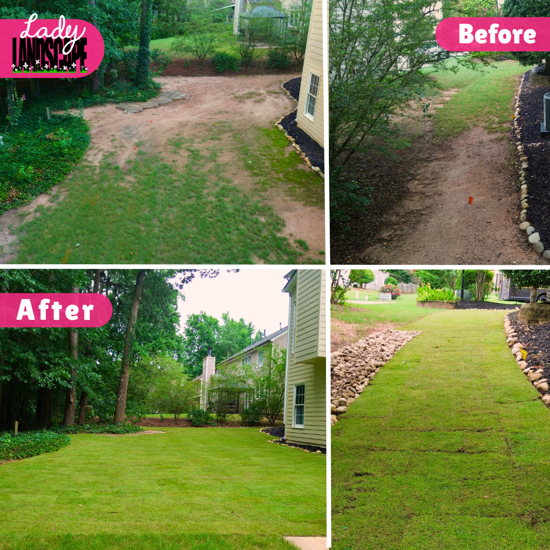 Before & After Sod .png