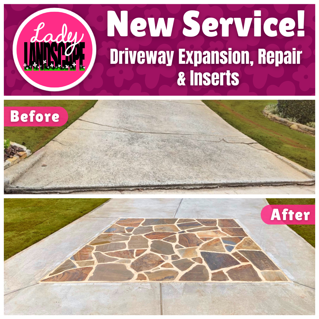 2026 Social Media Posts (1).png