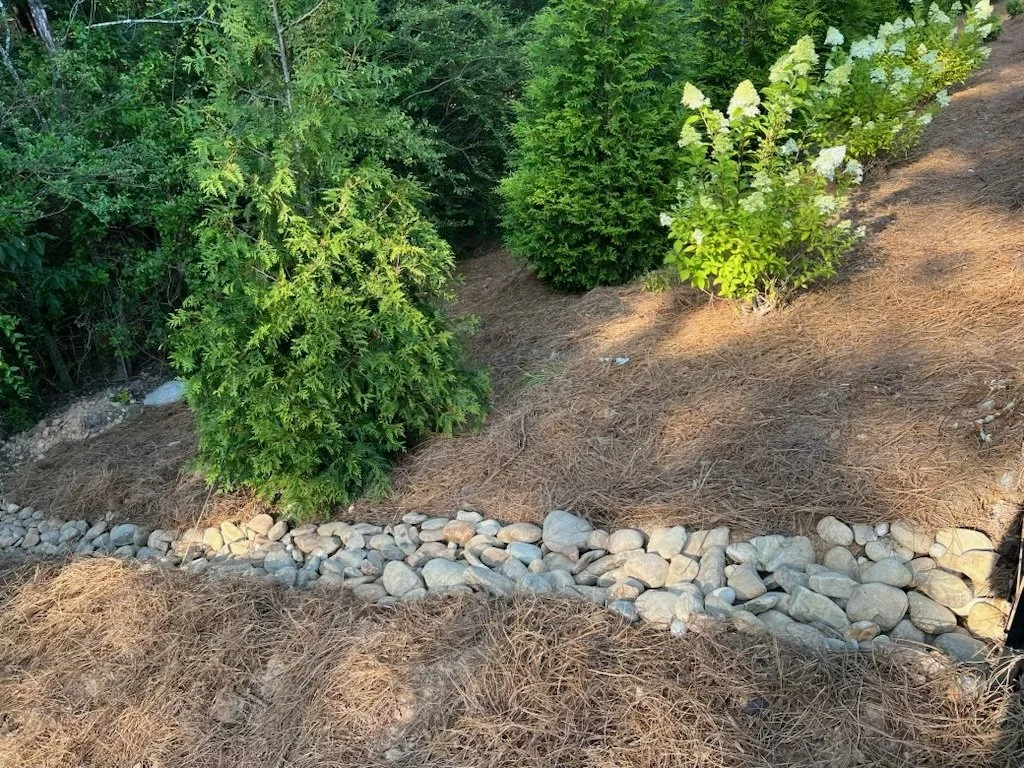 drainage 12.jpg
