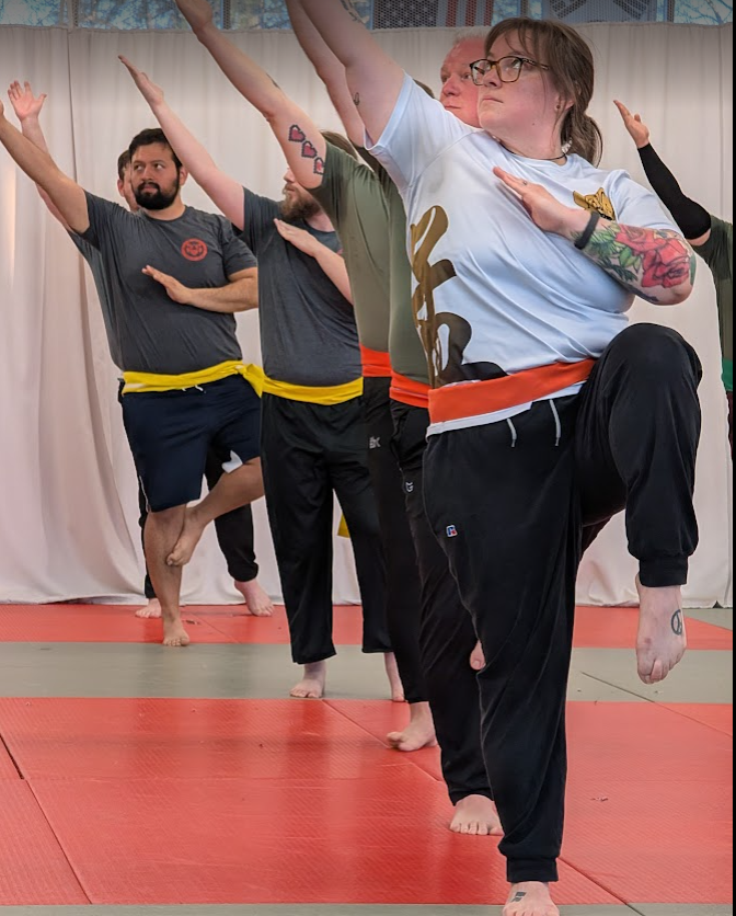 Point stance in Ng Bo Kuen (Wu Bu Quan), "Five Step Fist" traditional Chinese martial arts form.