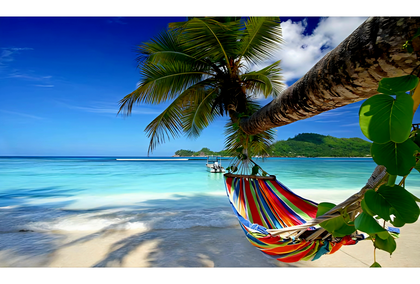 All Inclusive Caribbean Cruise!
