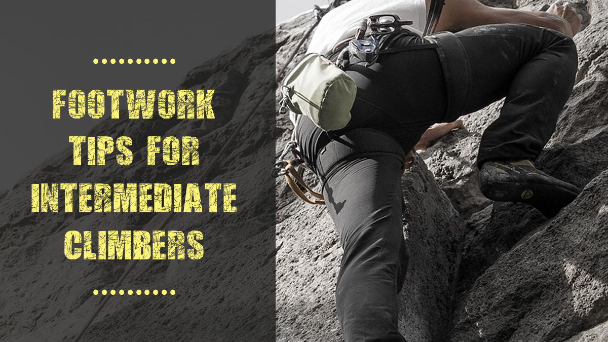 Blog — Ape Index Climbing Gym