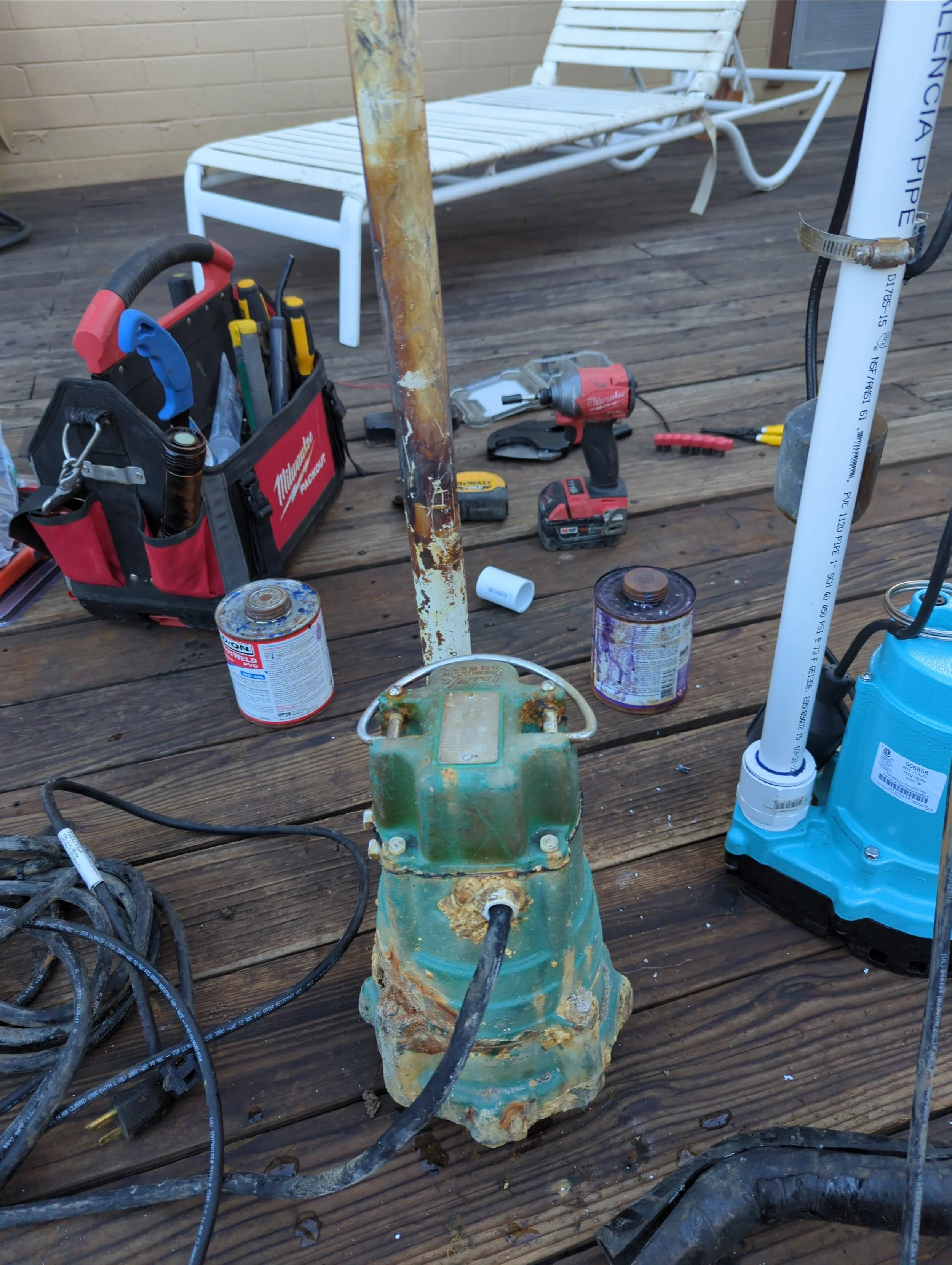 IMG_20220912_170536.jpg