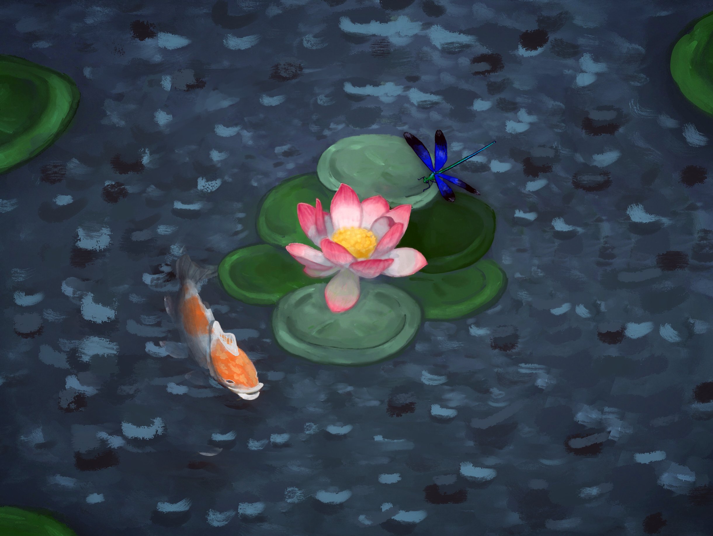 Koi pond.JPG