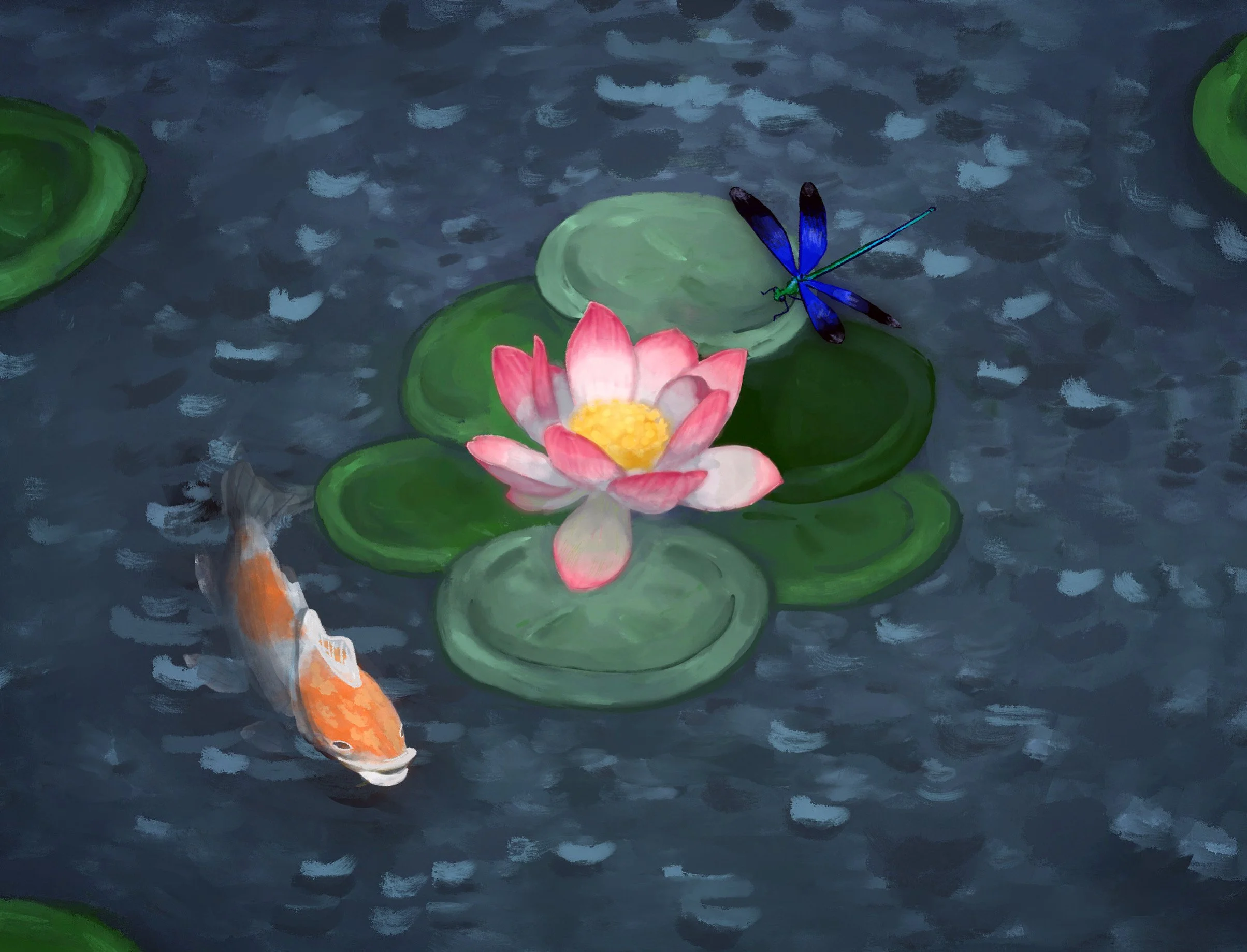 Koi pond.JPG