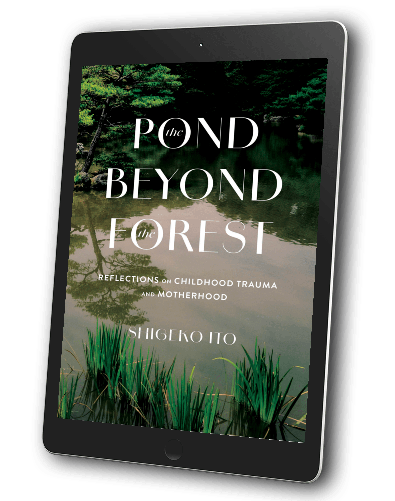 The Pond Beyond The Forest Book Cover in a Tablet