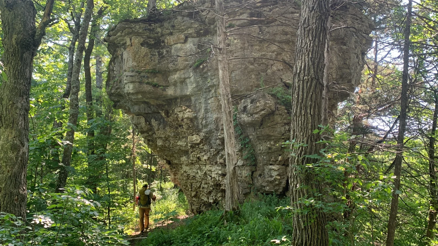 MN Driftless Hiking Trail