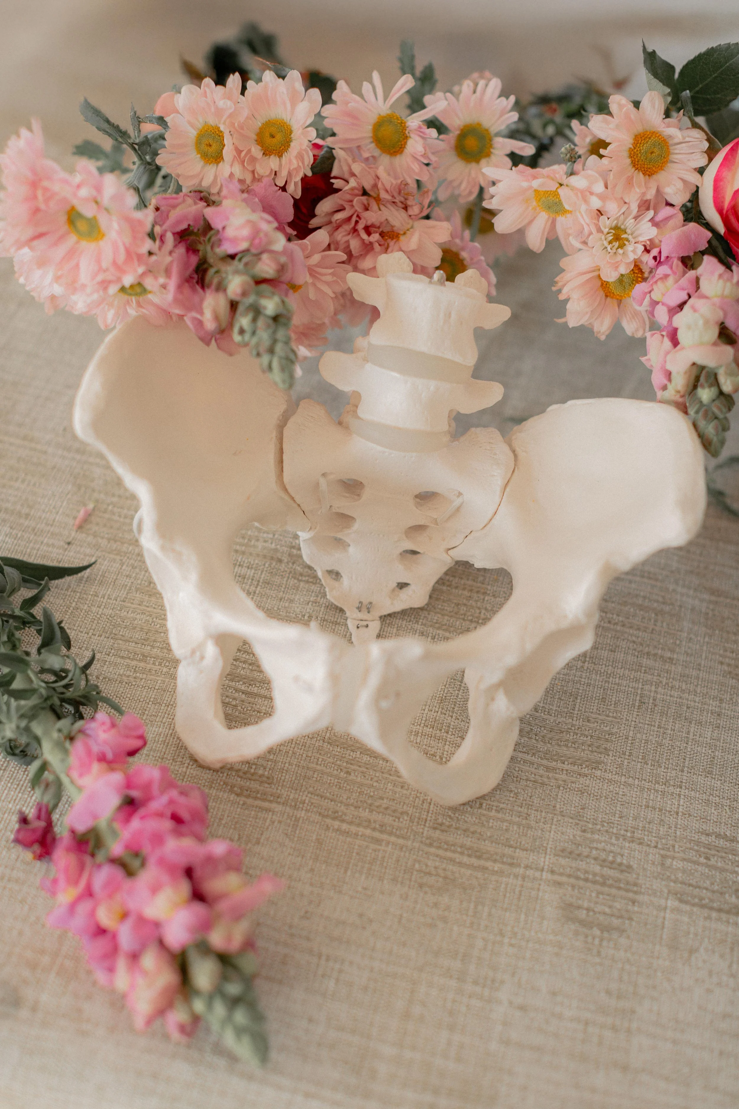 Pelvic Floor & Core with the Pelvic Pain Mentor