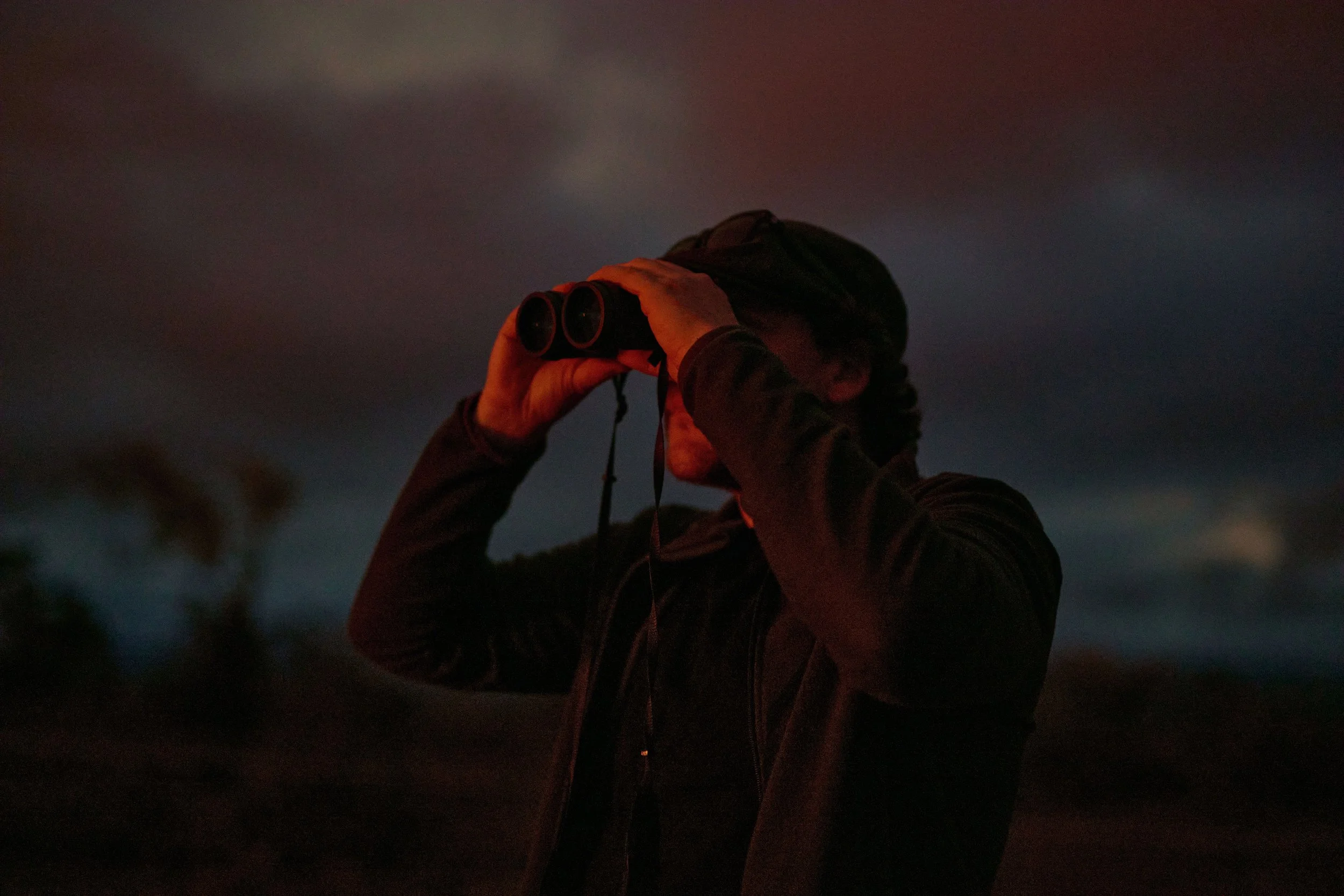 Volcano-Hawaii-DT5A0034(3) (2).jpg