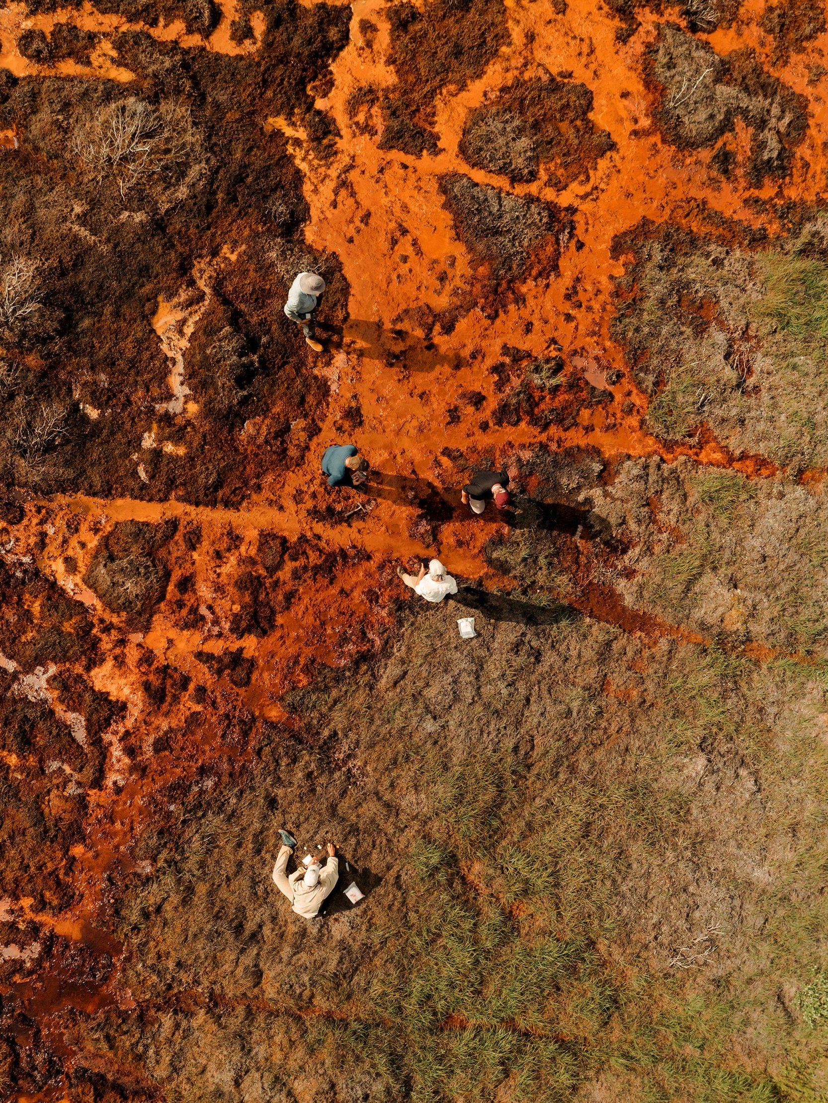 DJI_0221.jpg