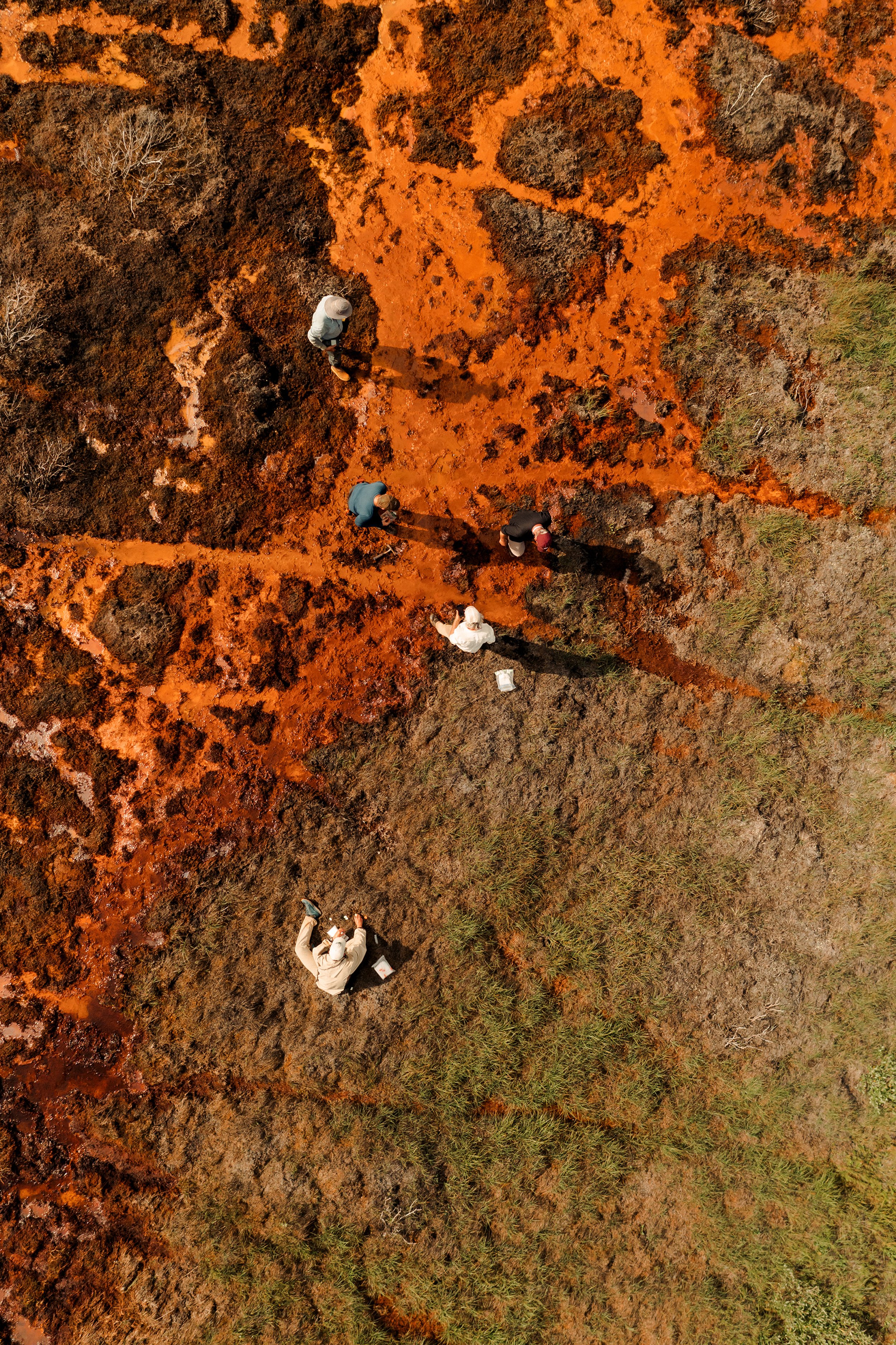 Rust Rivers Alaska's Rusting Rivers for Scientific American — Taylor Roades