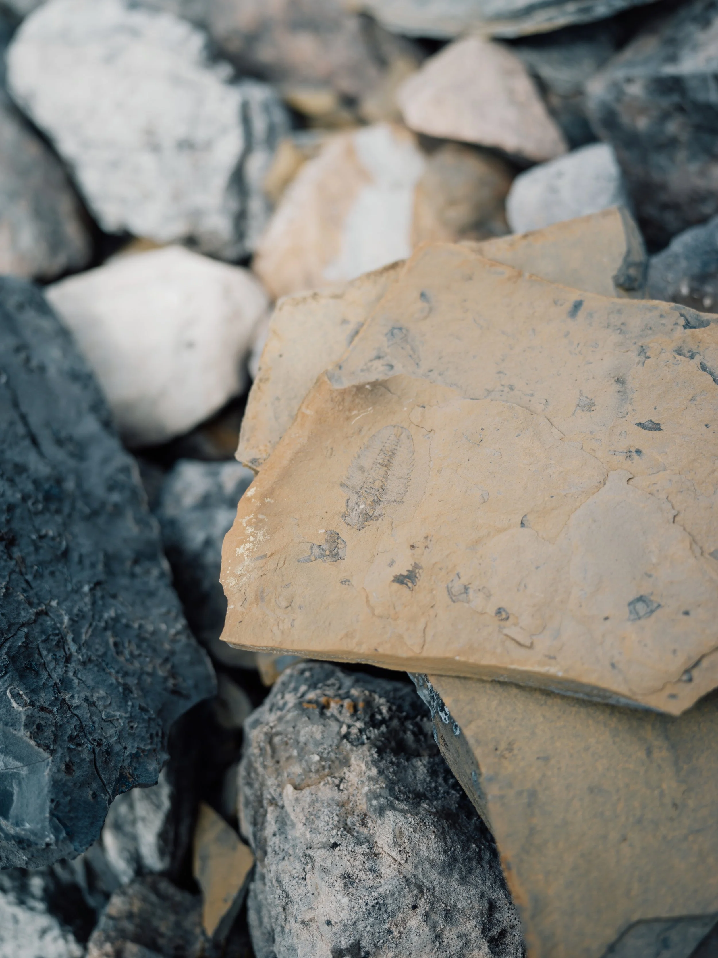 StanleyGlacier-LakeLouise-33 (2).jpg