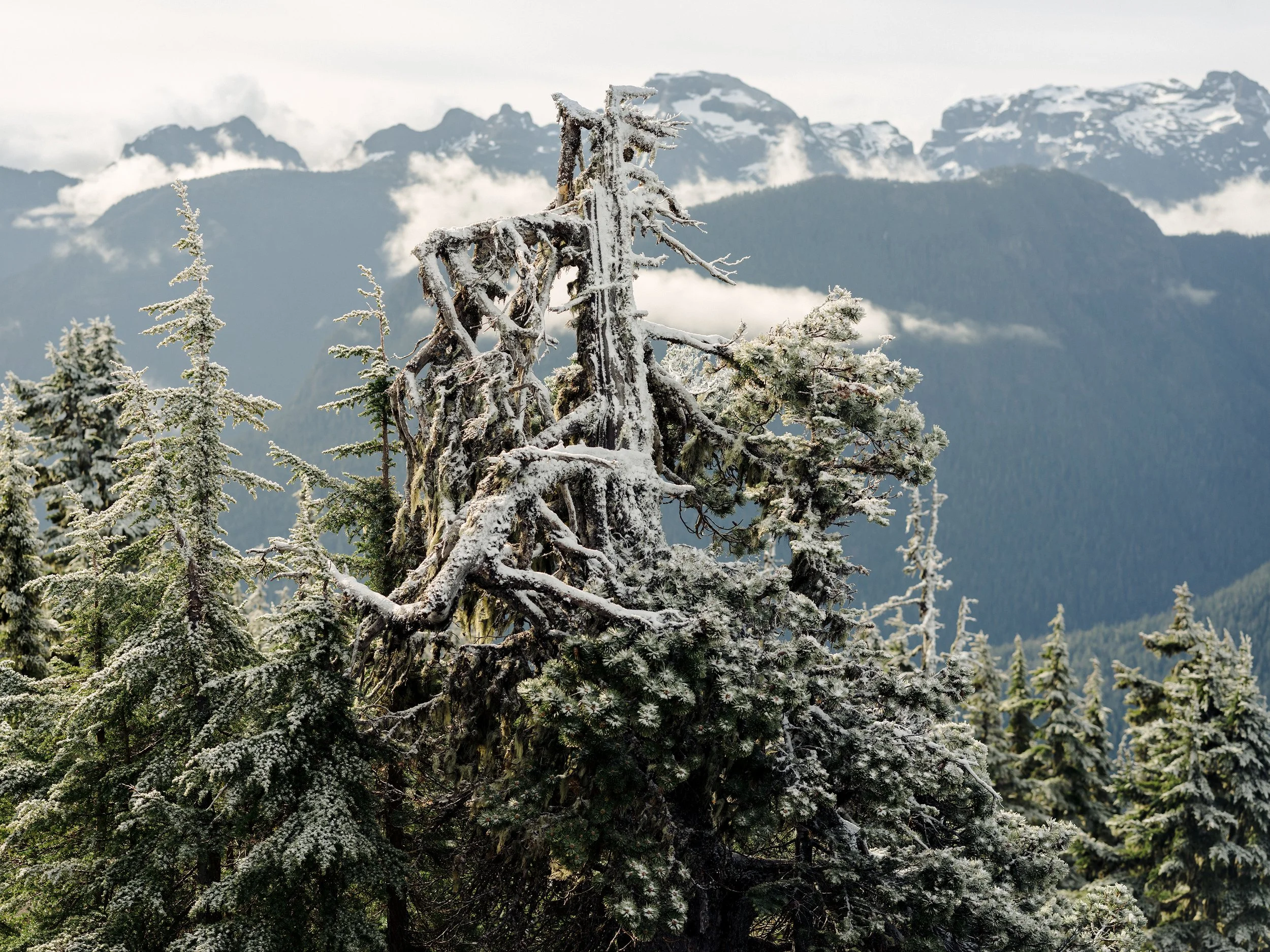 Crest-Mountain-Hike-2023June17-62 (2).jpg