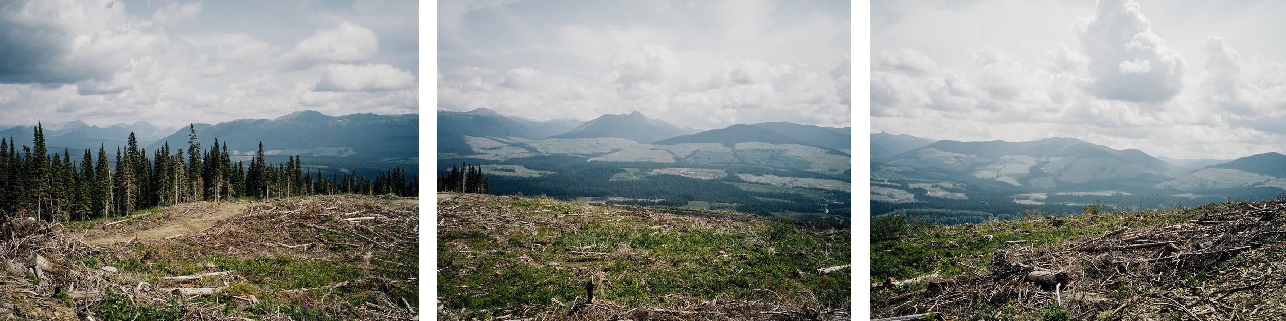 Climate-Change-Editorial-Photographer-0022.png