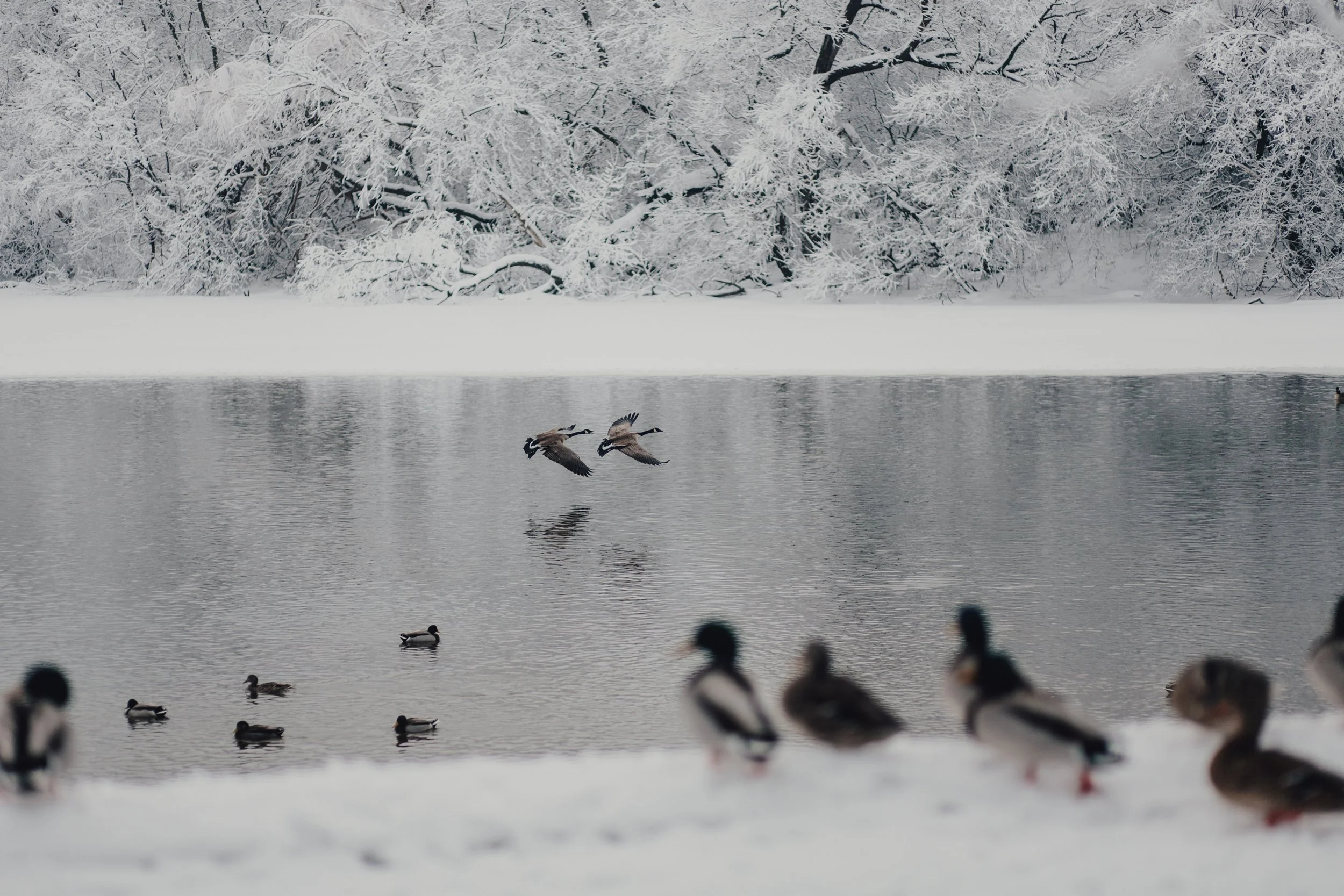 Instagram-Posts-0010 (1).JPG