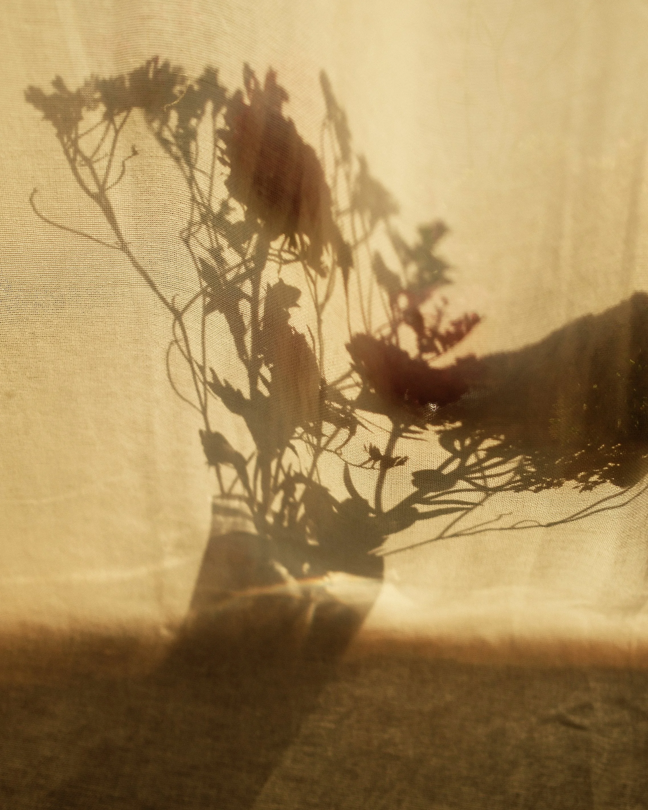 Afino geia / I bid farewell