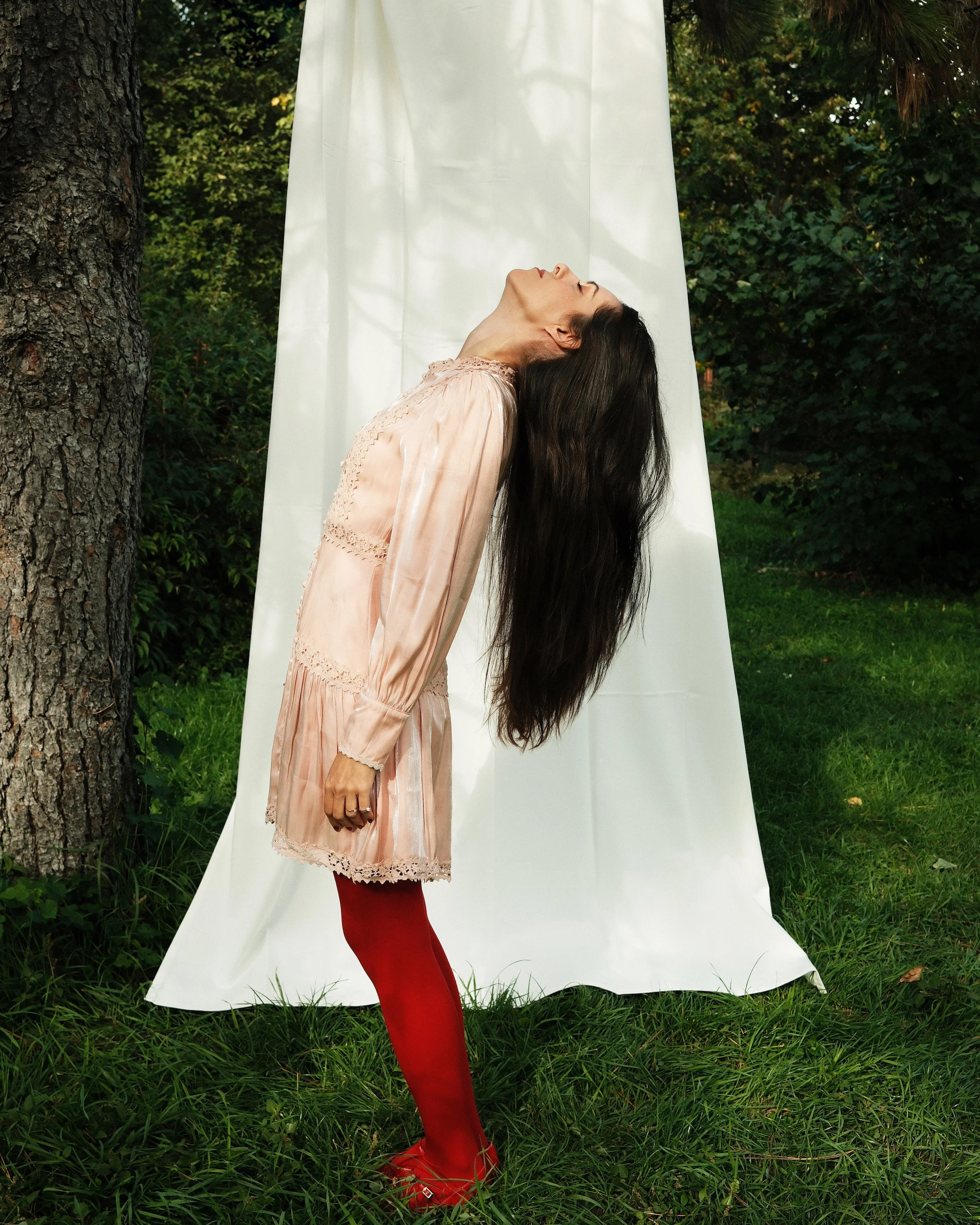 Fehér galamb / White dove