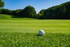 Tall Fescue — JacklinSeed