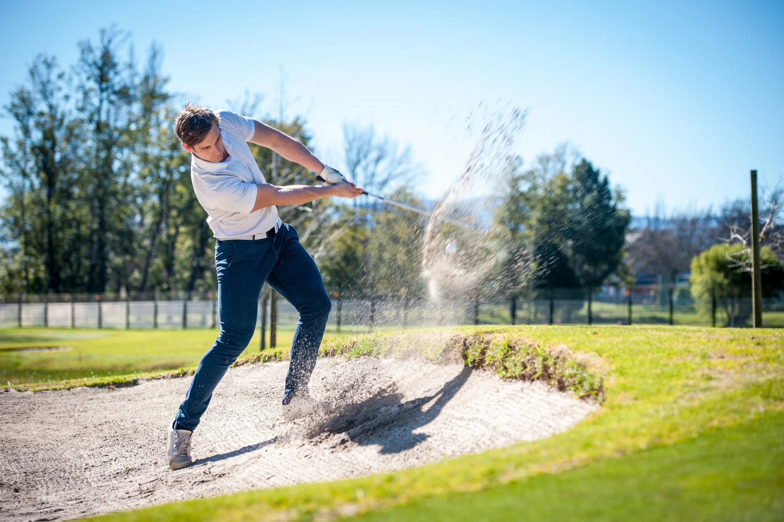 Tall Fescue — JacklinSeed
