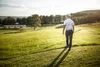 Tall Fescue — JacklinSeed