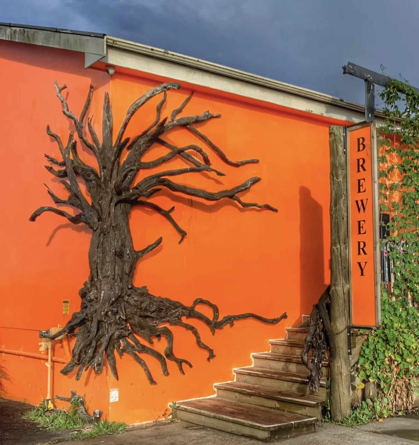 Roots Brewing | 43 State Highway 3, Westmere