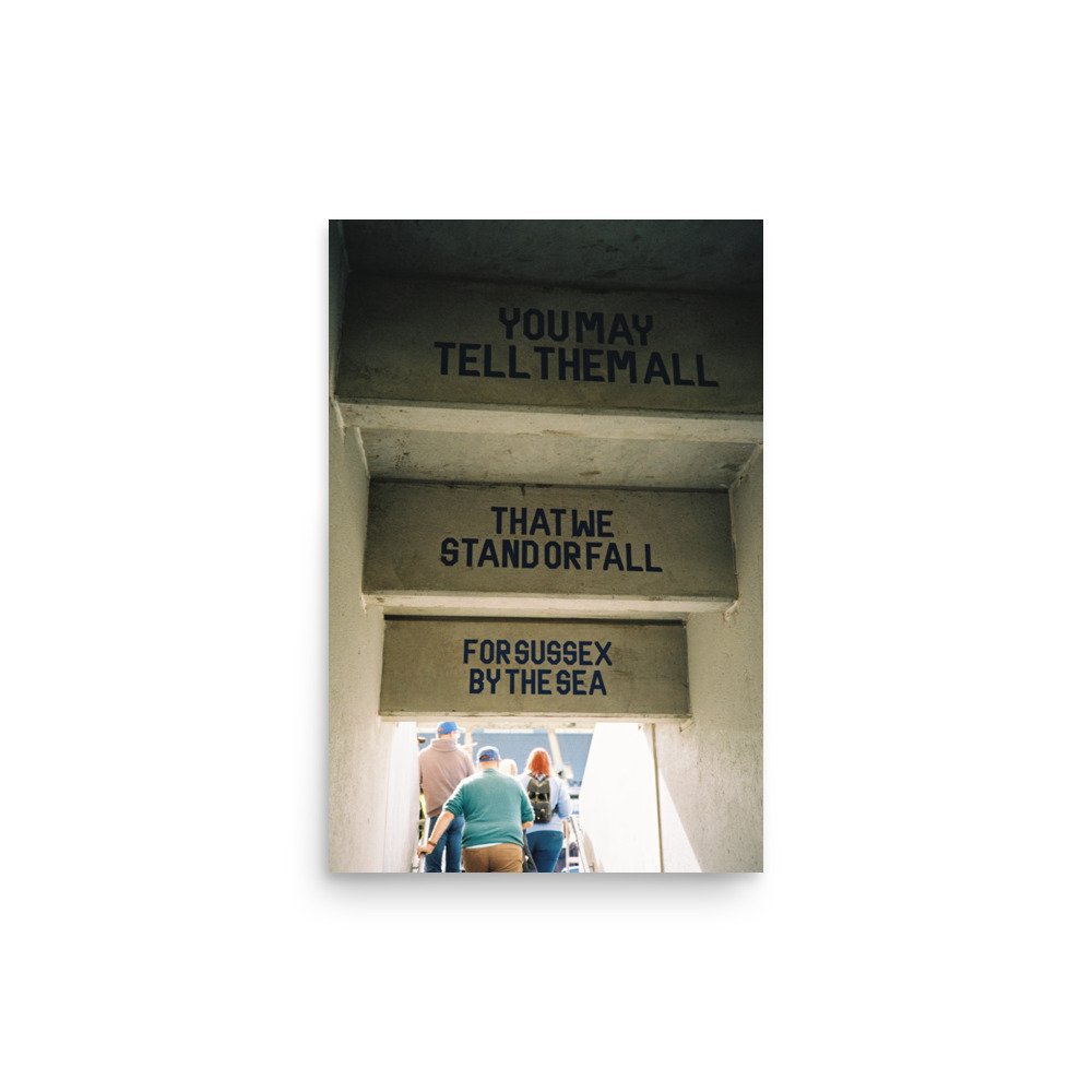 enhanced-matte-paper-poster-(in)-12x18-front-65cbad0140d00.jpg
