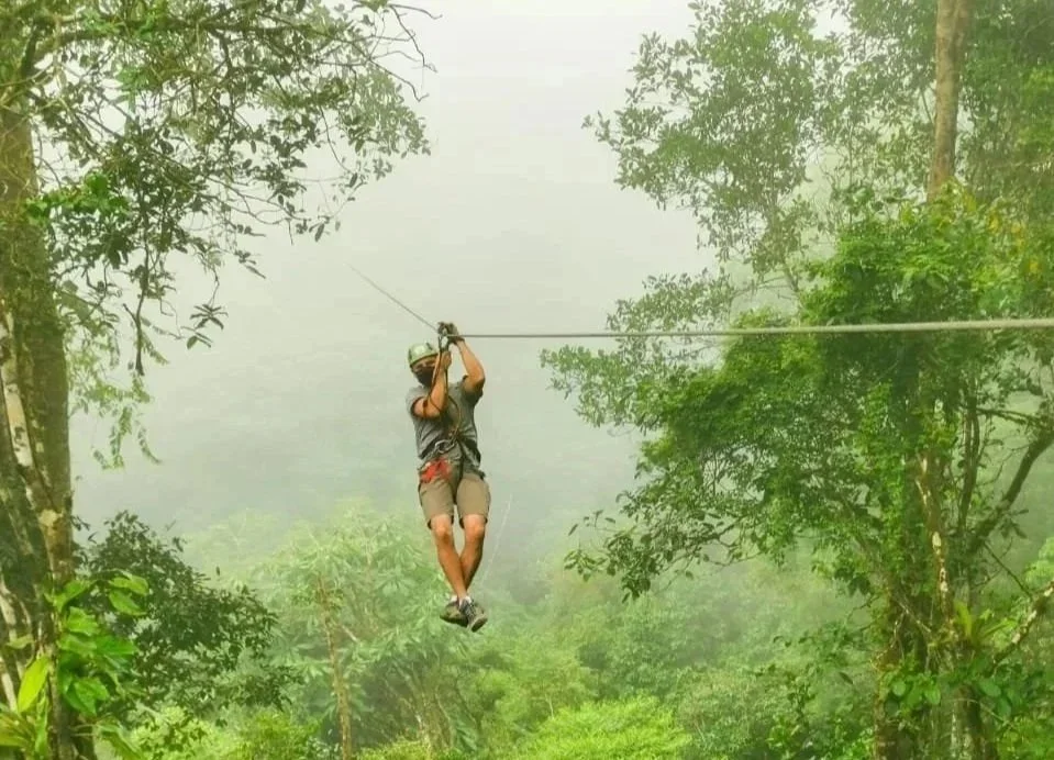 A person ziplining through a lush green forest with fog in the background.