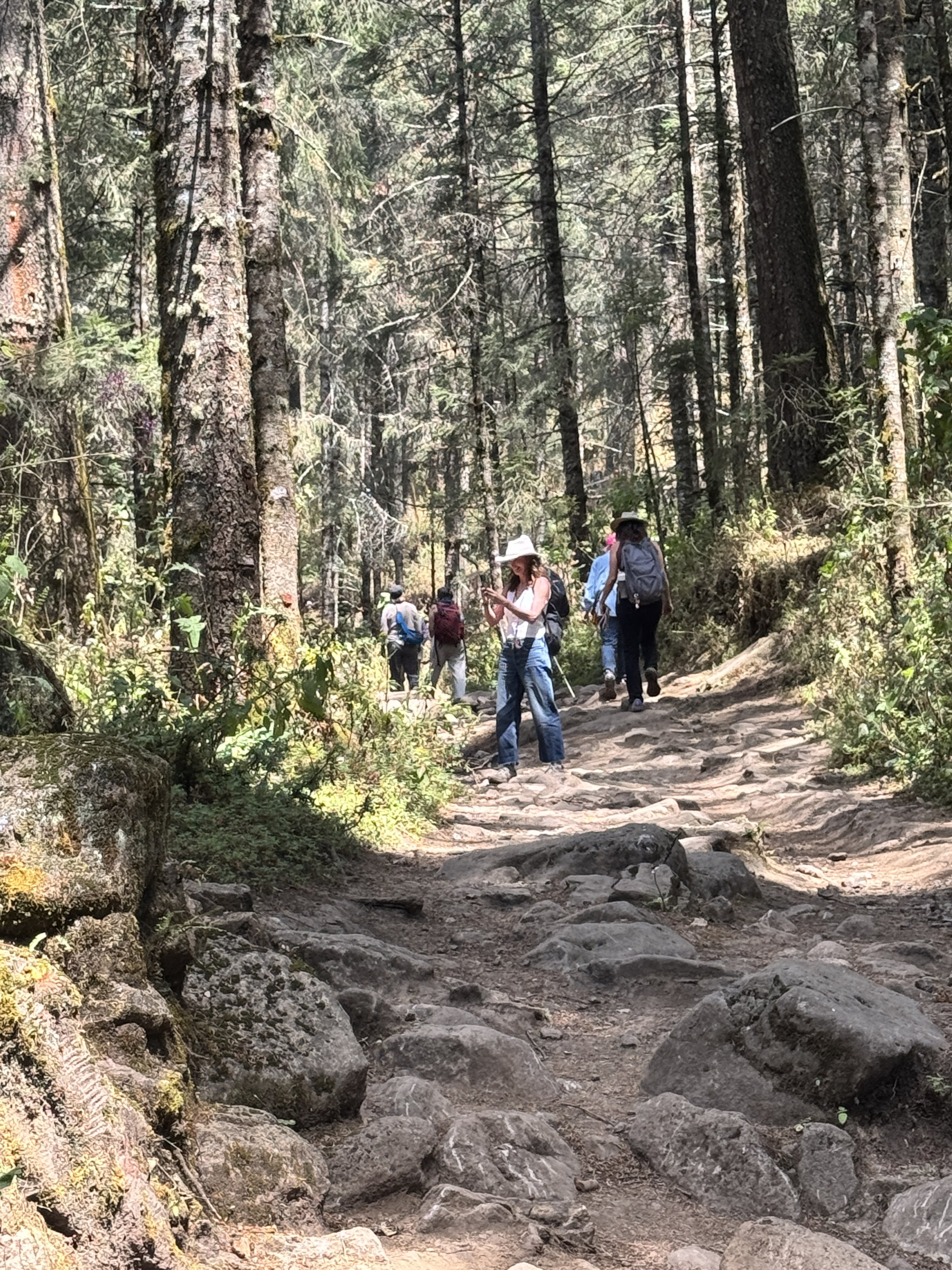 Hiking Michoacan, Mexico on a path to see the Monarch Butterflies as part of Amanda Trevelino's hosted retreat