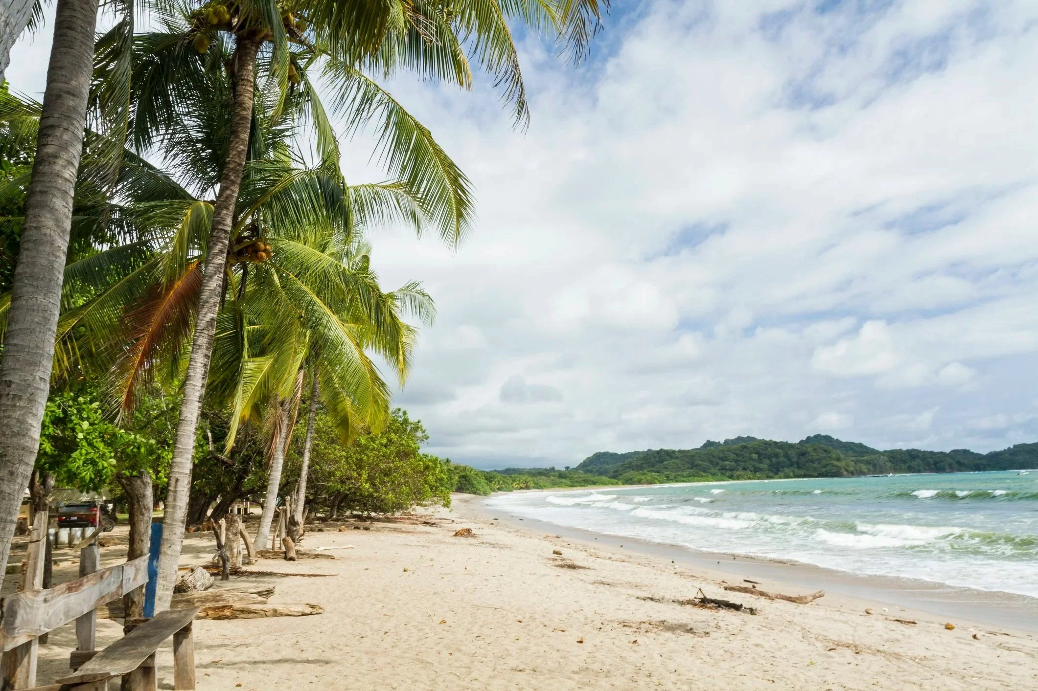 Tropical beach with palm trees, sandy shore, and ocean waves under a partly cloudy sky.