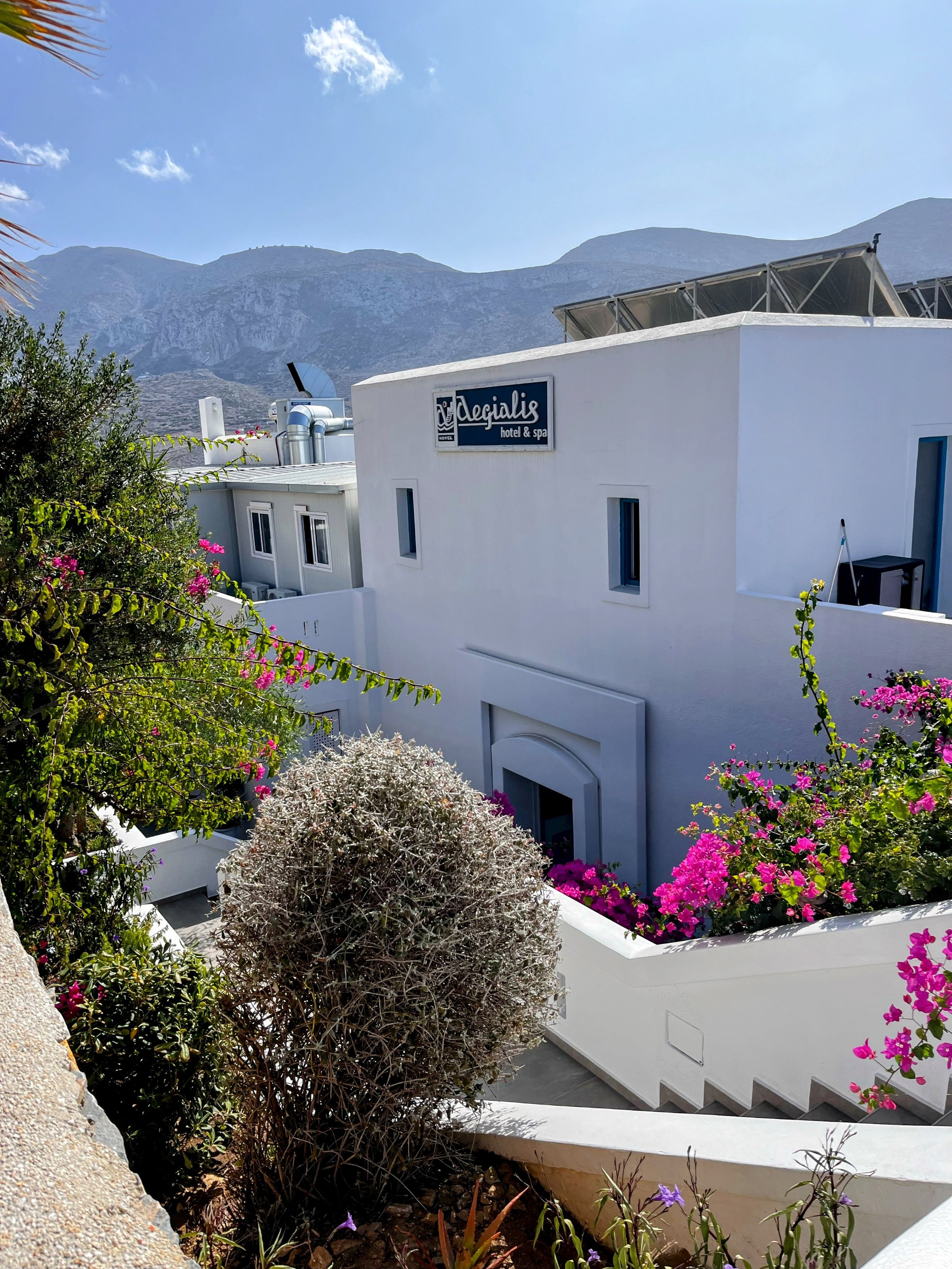 White hotel building with a blue sign reading 'Aegialis hotel & spa', surrounded by vibrant pink and purple flowers, with mountains in the background