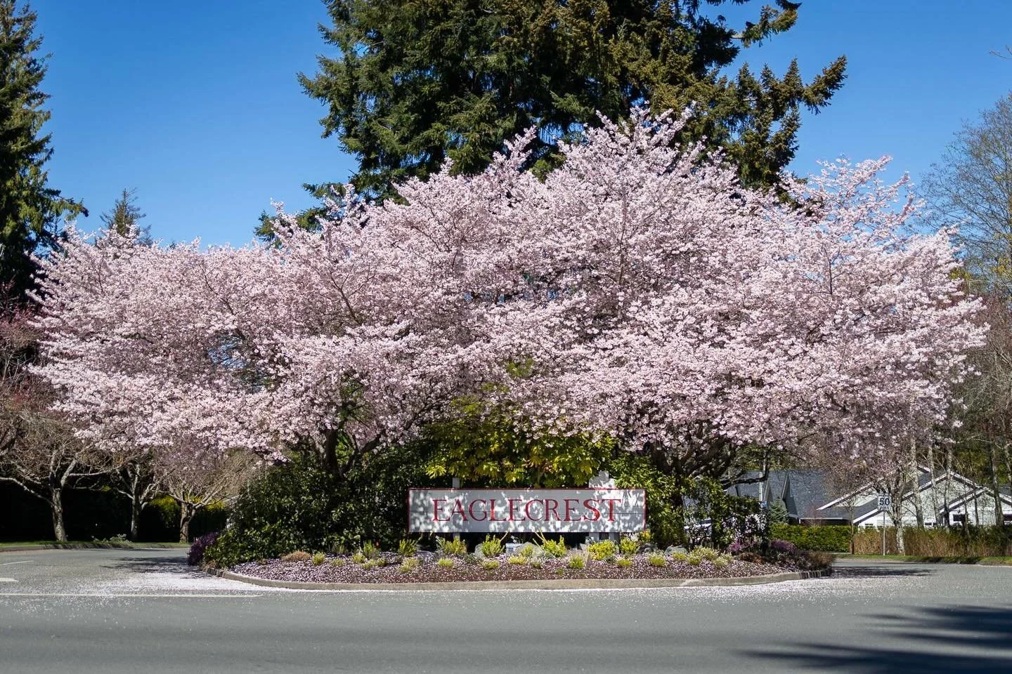 Qualicum Beach&rsquo;s Eaglecrest neighbourhood feels especially awesome this time of year.