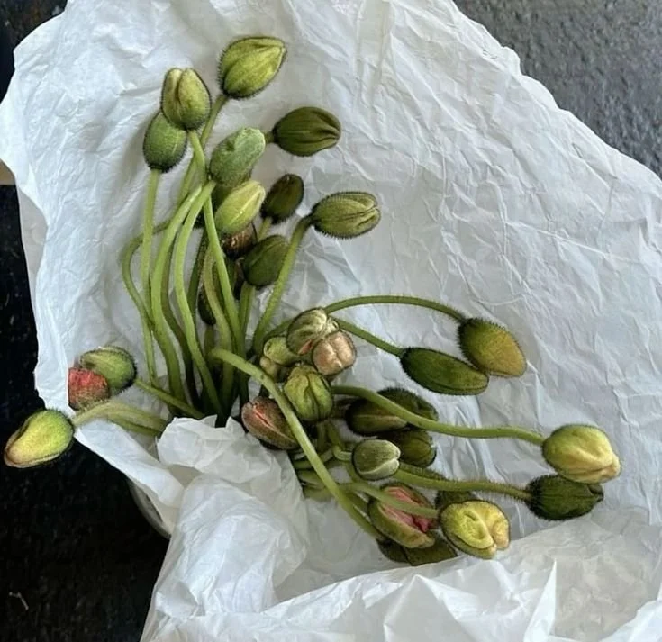 a38a7cd33573707cd4df34ee468b58ff (1).jpg