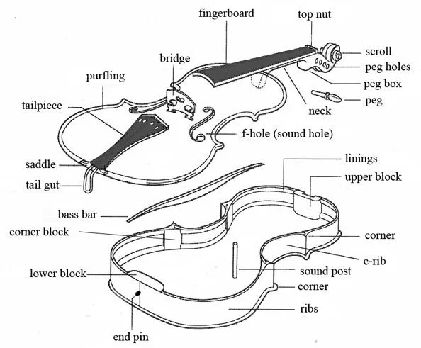 30c2e12c34d4d227aa48bd81649cbcfb--violin-parts-violin-music.jpeg